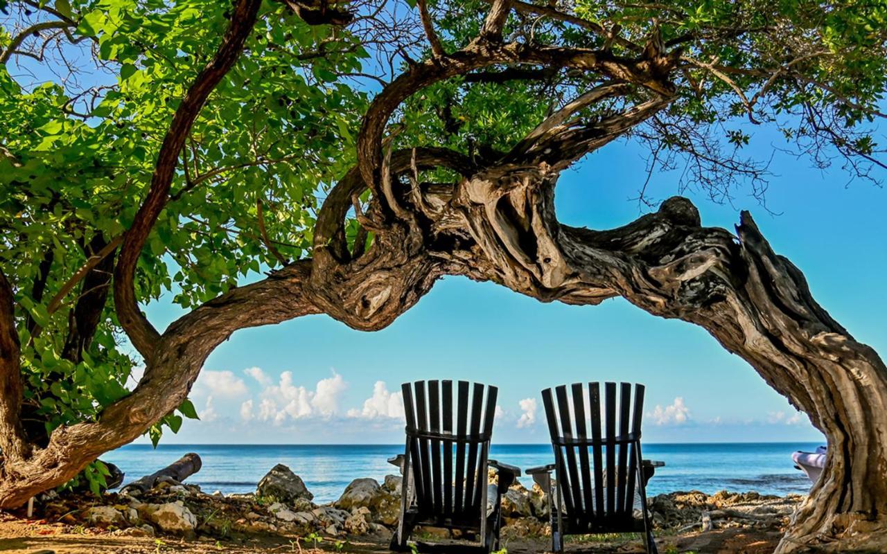 Jakes Hotel Treasure Beach Exterior foto